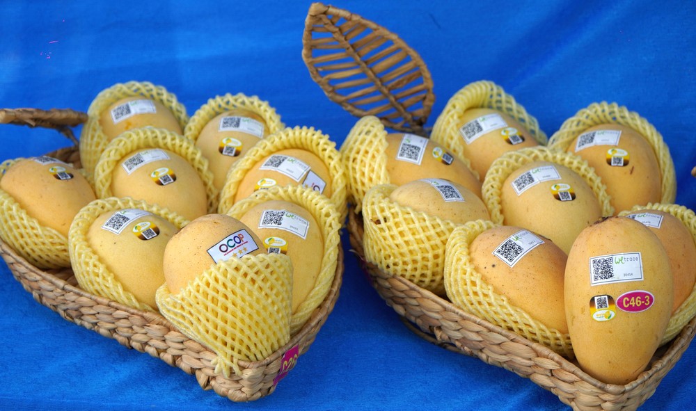 Sản phẩm OCOP (One Commune One Product)